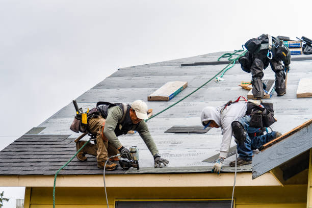 Professional Roofing technician working in Harwood, TX